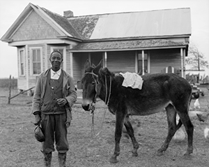Lowndes County farmer Sylvester Harris with mule Jesse outside his home in Plum Grove community, February 1934. 